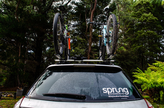 Sprung Car Sticker