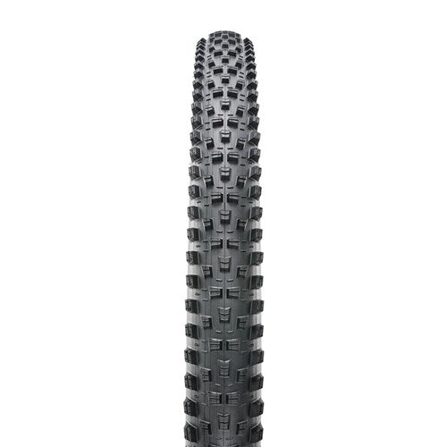Forekaster 29 X 2.40 WT 3C MaxxTerra EXO+ TR Fold 60TPI E-25