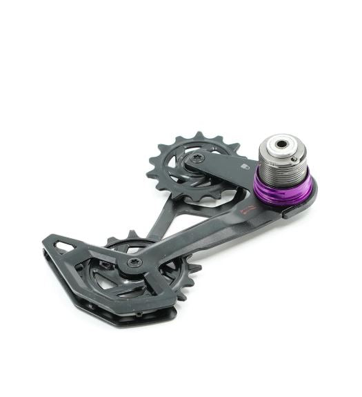Sram RD Cage Assy Kit GX T-Type Eagle AXS