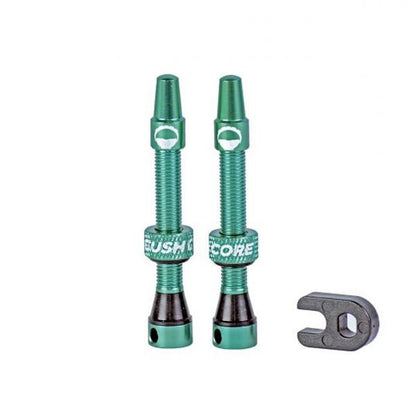 Cush Core Valve Pair