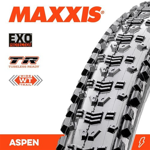 Aspen 29 X 2.40 WT EXO TR Fold 120 TPI E-25