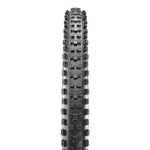 Dissector 27.5 X 2.60 3C MaxxTerra EXO+ TR Fold 60TPI E-25