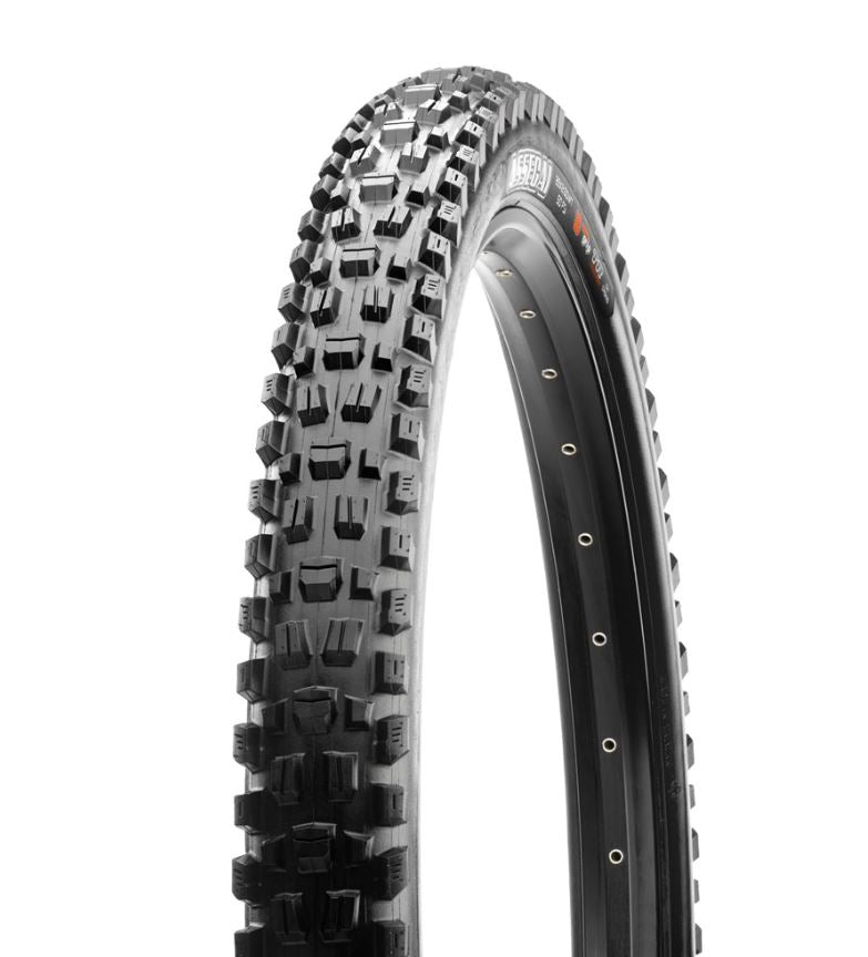 Assegai 29 x 2.5 MAXXTERRA EXO TR foldable 60tpi E25