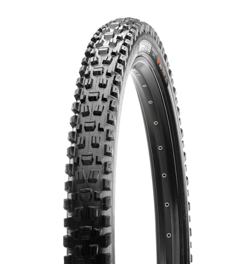Assegai 27.5 X 2.5 MAXXTERRA EXO TR FOLD 60TPI E25