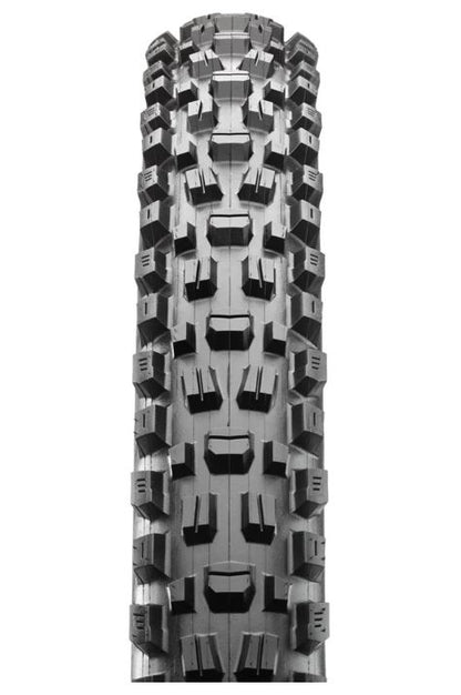 Assegai 29 x 2.5 MAXXTERRA EXO+ TR foldable 60tpi E25