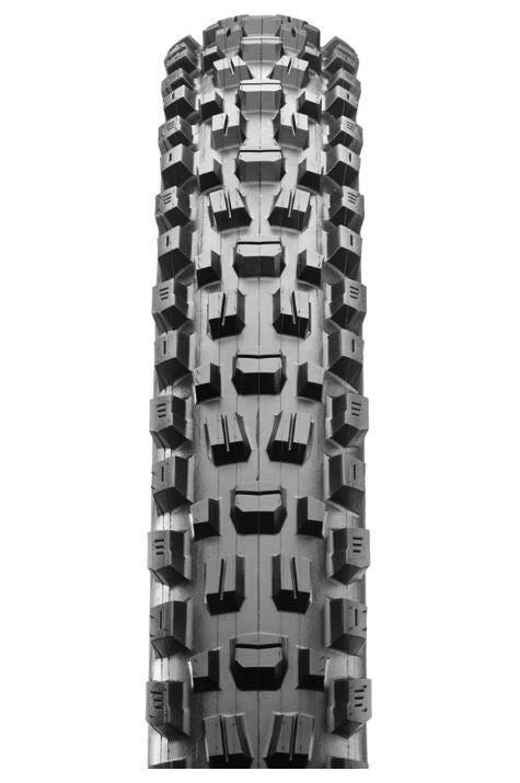Assegai 29 x 2.5 MAXXTERRA EXO+ TR foldable 60tpi E25