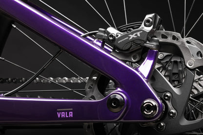 Santa Cruz Vala LIMITED EDITION 1 C XT Di2-Kit MX